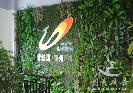 章貢區(qū)綠植背景價(jià)格